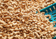 猫砂可以种菜吗(猫砂可以种东西吗)