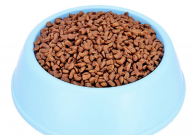 翡冷翠猫粮怎么样（属于什么档次）