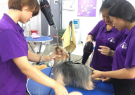 学宠物美容技术难吗(好学吗)