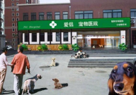 济南比较靠谱的宠物医院（十大）