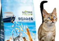 纯皓猫粮到底好不好(怎么样)