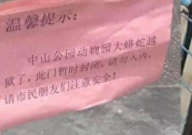 福建龙岩蟒蛇出逃仍未找到(请多关注)
