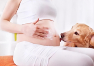 备孕期间能养宠物吗(女性)