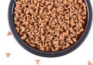 散装猫粮好不好(有什么坏处)