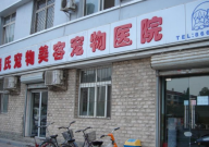 宠物医院洗耳朵多少钱(一次)