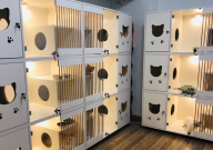 猫舍用什么猫粮性价比高(又好)