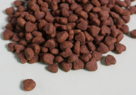 中档猫粮什么牌子好(排行榜)