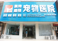 宠物医院上班怎么样(累不累)