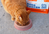 宠王府猫粮怎么样(介绍)