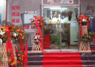 为什么要开宠物店(理由)