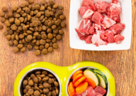 金毛自制狗粮的做法(配方)