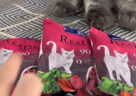 卫塔卡夫猫粮怎么样(测评)