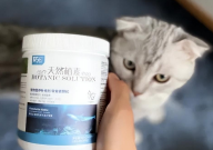 折耳猫需要喂软骨素吗(一直)