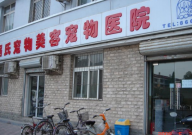宠物医院的服务有哪些(项目)