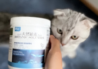 折耳猫必须吃软骨素吗（一直）