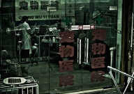 重庆宠物医院哪家比较好(厉害)
