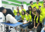 北京圣宠宠物美容学校怎么样(地址)