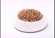 猫粮开封后能保存多久（怎么保存）