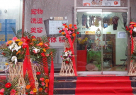 普通宠物店一年收入(大概多少)