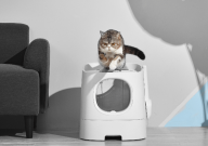 猫砂多久换一次需要全部倒掉吗（几天换比较好）