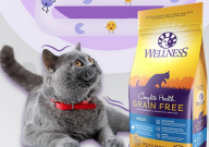 wellness猫粮好吗(推荐吗)