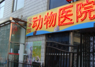 洛阳宠物医院哪家好(不坑)