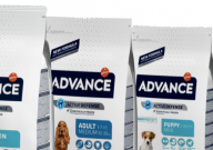 爱旺斯猫粮怎么样(好吃吗)