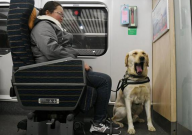 上高铁可以带宠物吗(托运)