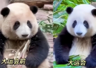 花花洗澡全国人民都知道了（更可爱）