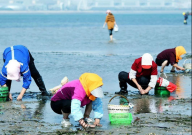 台风送来大量生蚝海鲜（市民拎麻袋装）