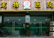 宠物癣会传染给人吗(怎么治疗)