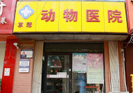 北京正规宠物医院排名(权威)