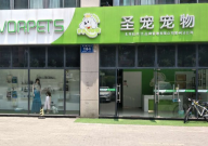 哈士奇剃毛好不好(剃光了会怎么样)