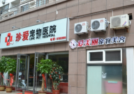 宠物医院便检多少钱(一次)