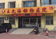 哈尔滨哪家宠物医院好(还便宜)