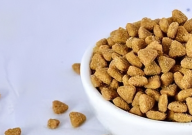 菲力喵猫粮咋样（怎么样）