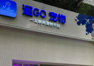 宠物店好做吗(现在)