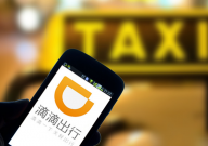 滴滴可以带宠物吗(允许带宠物上车么)