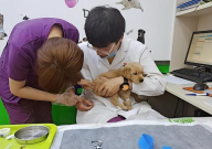 宠物医院价格为什么这么贵(成本很高吗)