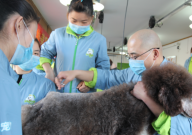 狗生病了没有宠物医院怎么办(解决方案)