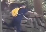 峨眉山猴子抢夺食物导致男孩被摔伤(越闹越大)