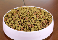 如何选择猫粮(优质)