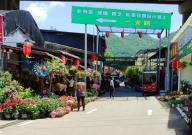 重庆宠物市场在哪（哪里最大）