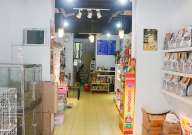 如何开一家宠物店(宠物店怎么开)