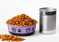 猫吃猫粮好还是罐头好（分情况）