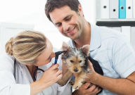 职高有宠物专业吗(动物医学)