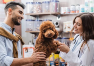 开宠物店的市场分析(开宠物店的市场机会)