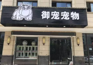 宠物店看狗多少钱一天(一般)