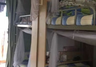 宿舍养宠物的危害(有哪些)