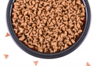 欧萨的猫粮怎么样（属于什么档次的品牌）